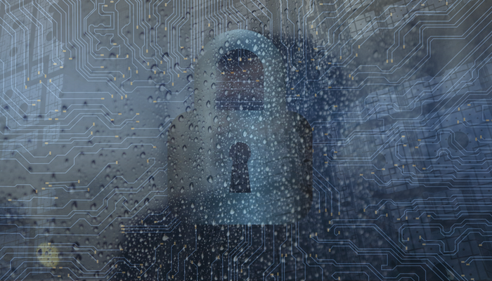 rain digital cyber environment